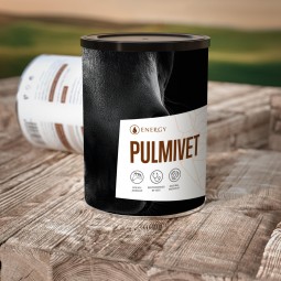 2x PULMIVET Pulver 100 g für Pferde